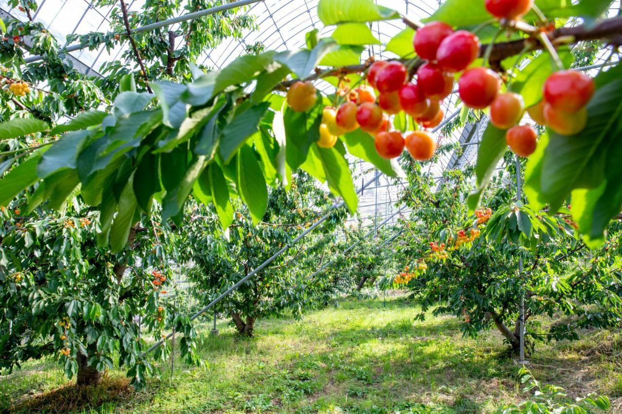 יאמאנאשי Fruit Park Fujiya Hotel מראה חיצוני תמונה