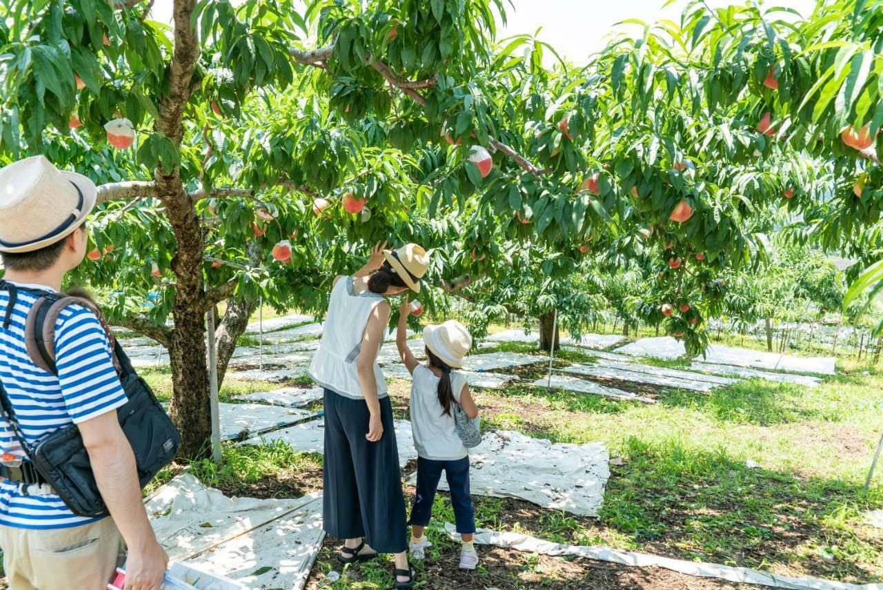יאמאנאשי Fruit Park Fujiya Hotel מראה חיצוני תמונה
